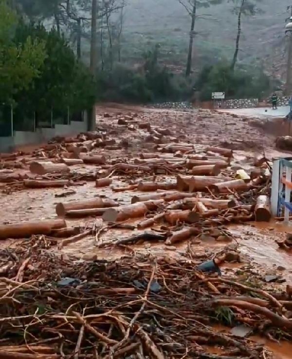 Marmaris'te dereler taştı, ağaçlar devrildi