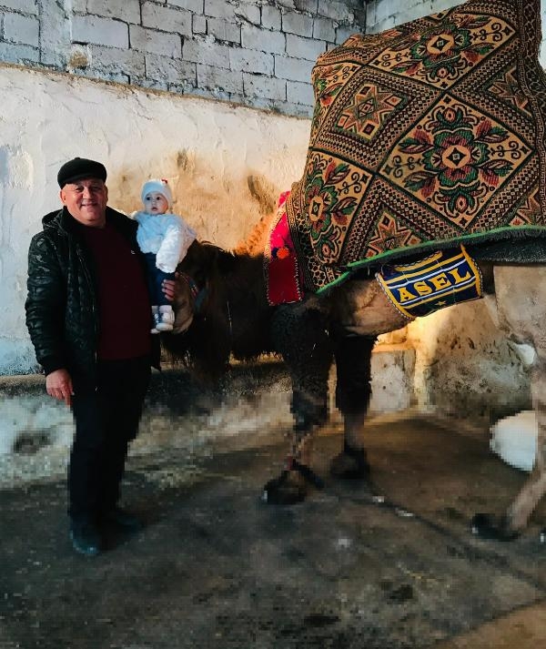 Sahibi ölen deve, tedavi gördü güreşi kazandı