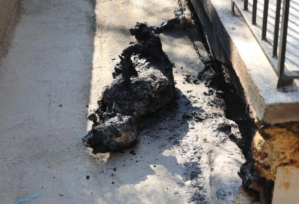 Vahşet! Paşa'yı kulübesinde diri diri yaktılar