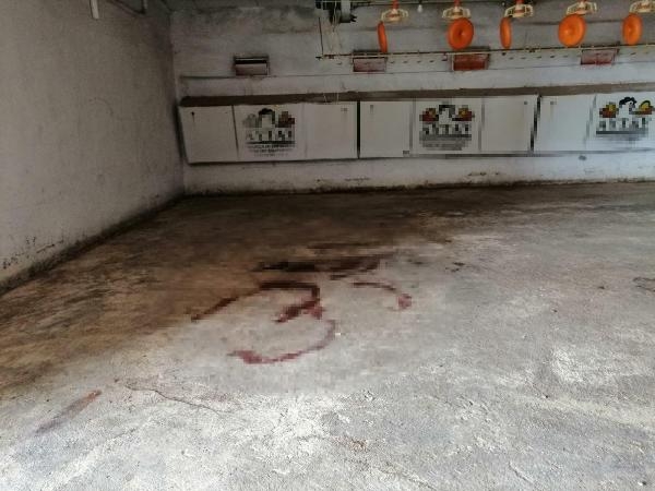 Canavarca hisle, acı çektirip öldürmüş!