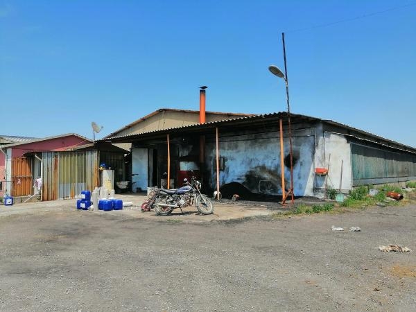 Canavarca hisle, acı çektirip öldürmüş!