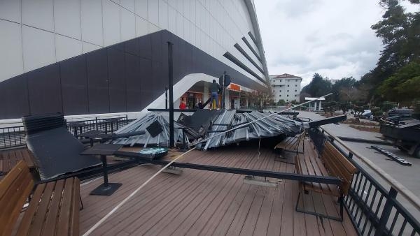 İzmir'de fırtına! Ağaç devrildi, çatı uçtu, araçlar hasar gördü