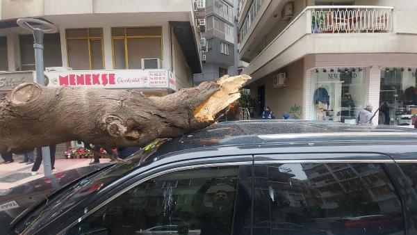 İzmir'de fırtına! Ağaç devrildi, çatı uçtu, araçlar hasar gördü