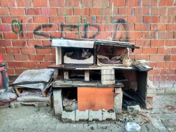 Kedi kulübelerini yakan bir çocuk çıktı
