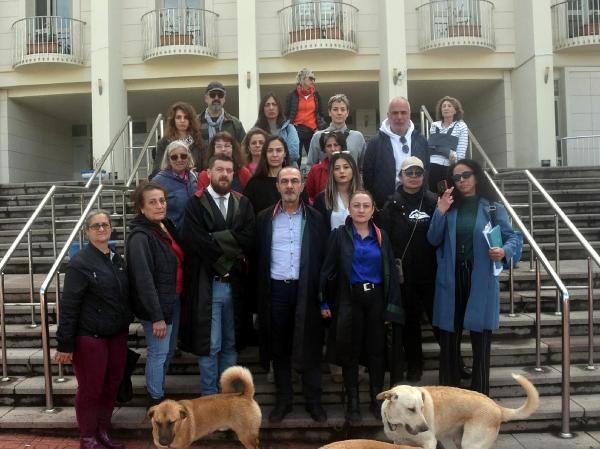 3 köpeği zehirledi, hakim yargılamayı durdurdu