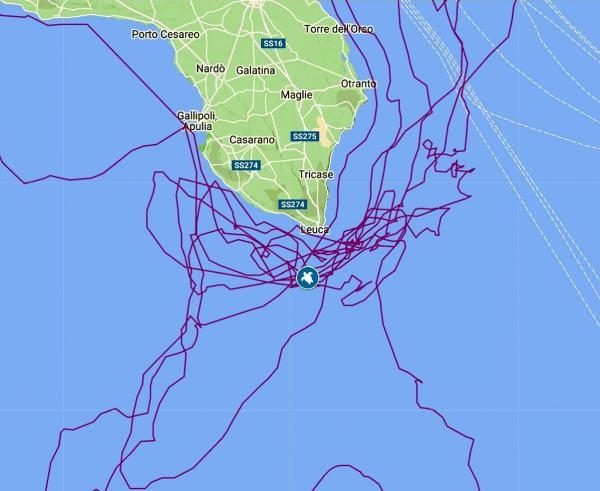 Caretta caretta 'Tuba'yı 8 milyon kişi izledi