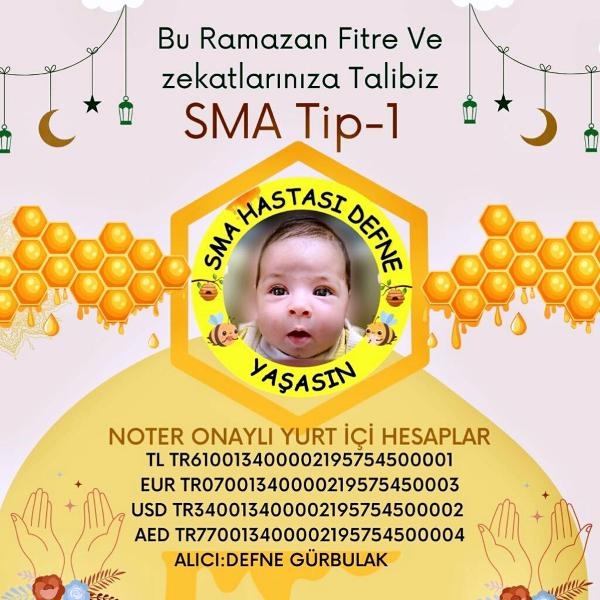 Kınık'ta 'Defne yaşasın' seferberliği! Başkan öncülük ediyor
