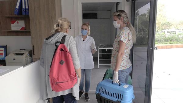 Bayraklı Sokak Hayvanları Tanı ve Tedavi Merkezi'nde 2 bin 600 tedavi