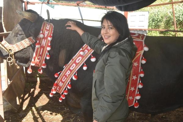 'Boğaların efesi' Buse