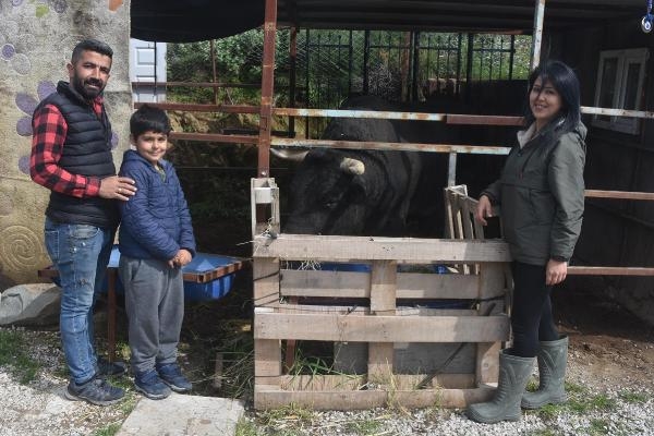 'Boğaların efesi' Buse