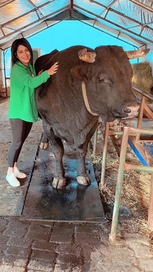 'Boğaların efesi' Buse