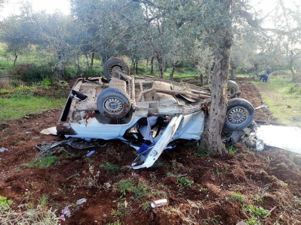 Çarpışan kamyonet ile otomobil zeytinliğe uçtu