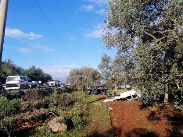 Çarpışan kamyonet ile otomobil zeytinliğe uçtu
