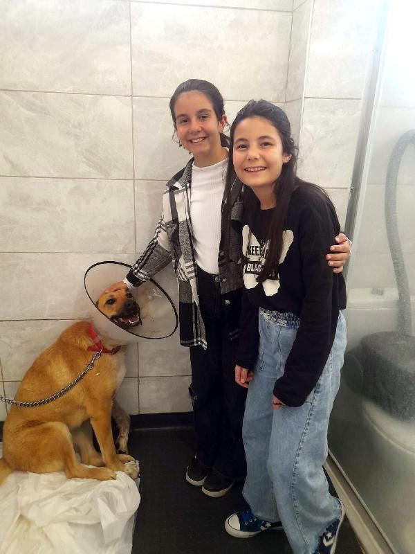 Harçlıklarıyla yaralı köpeği tedavi ettirdiler