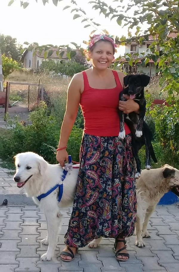 Harçlıklarıyla yaralı köpeği tedavi ettirdiler