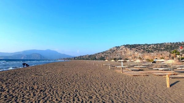 Deniz kaplumbağaları kabukları için avlanıyor