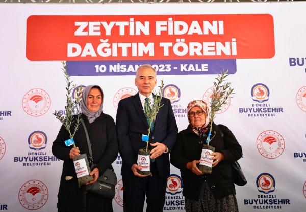 Denizli'de önemli adım! 40 bin zeytin fidanı atıl arazilerle buluşacak