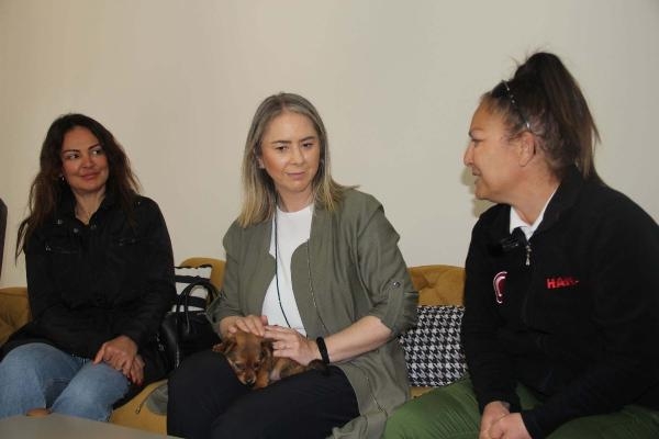İzmir'de sokak hayvanları için mama üretim tesisi ve mobil klinik kurulacak