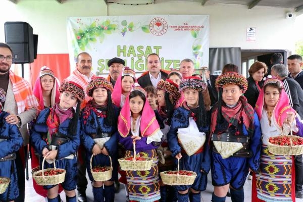 Kiraz Hasat Şenliği düzenlendi