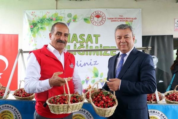 Kiraz Hasat Şenliği düzenlendi