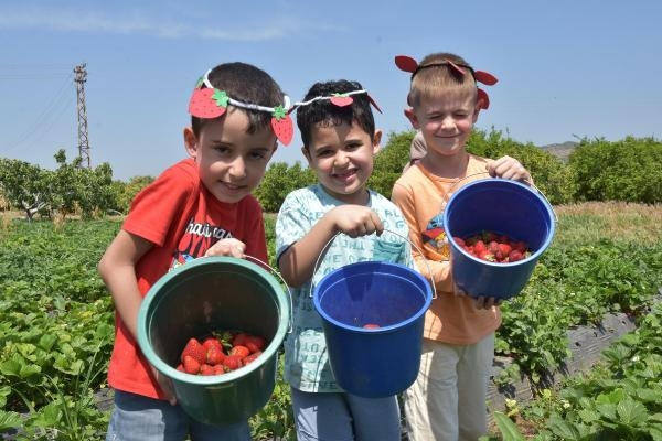 Menemen'de 'Çilek Tadında Festival'e ünlü sanatçılar geliyor