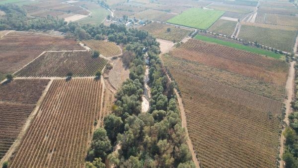 Tarım Orman Bakanlığı, Gediz Havzası için eylem planı hazırladı