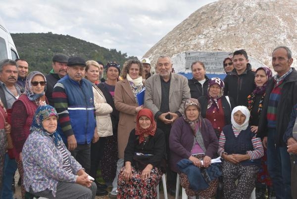 Zeytin ağaçlarına mahkeme koruması!