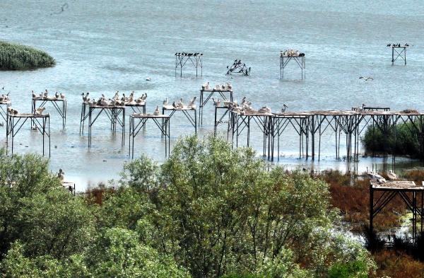 266 türden 3 milyon kuş ziyaretçi bekliyor