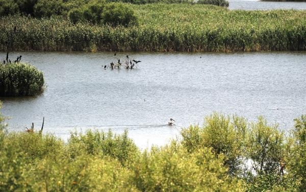266 türden 3 milyon kuş ziyaretçi bekliyor