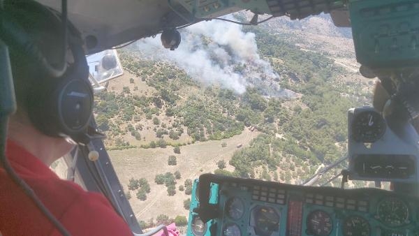 Bergama'da orman yangını