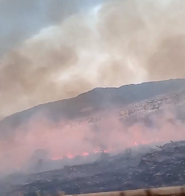 Bornova'da rekreasyon alanında yangın