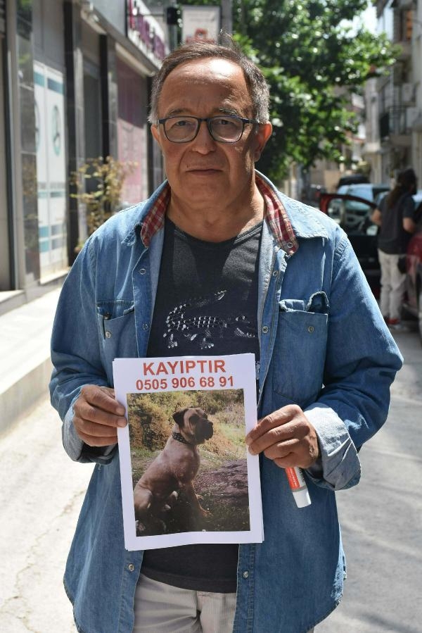El ilanlarıyla sokak sokak kaybolan köpeğini arıyor
