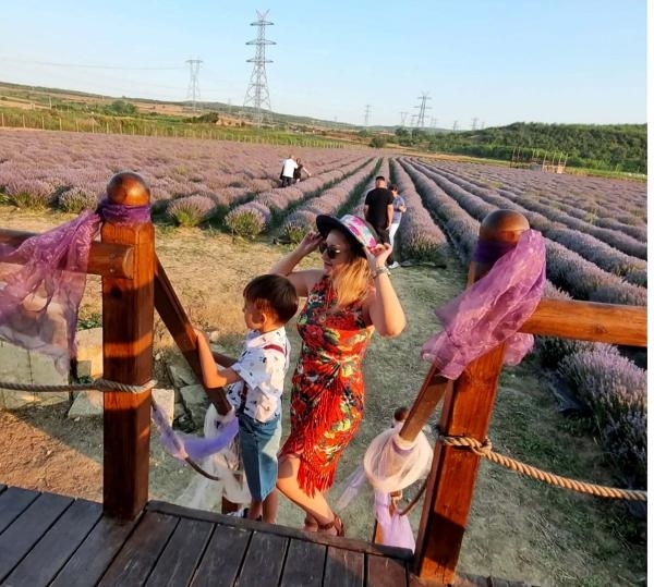 Gelibolu'da 'Lavanta Festivali' düzenlendi