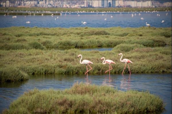 İzmir, Küresel Sürdürülebilir Turizm Konseyi'ne üye oldu