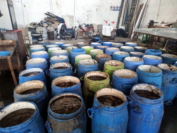 İzmir'de ele geçirilen 900 kilogram deniz patlıcanı, denize geri bırakıldı