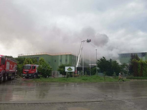 İzmir'de yıldırım düşen turşu fabrikasında yangın