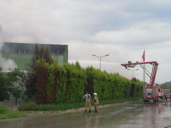 İzmir'de yıldırım düşen turşu fabrikasında yangın