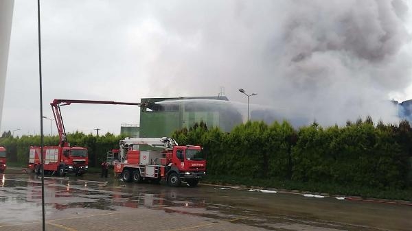 İzmir'de yıldırım düşen turşu fabrikasında yangın