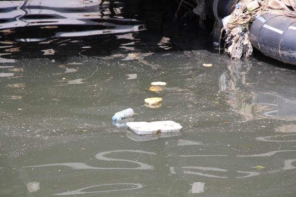 İzmir'in 30 deresi körfeze kirlilik taşıyor!