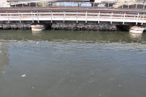 İzmir'in 30 deresi körfeze kirlilik taşıyor!