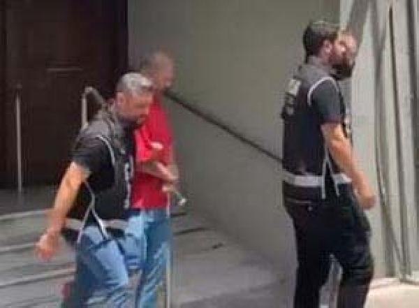 Kedi-köpek maması ambalajında sahte vücut geliştirme ilaçları ele geçirildi