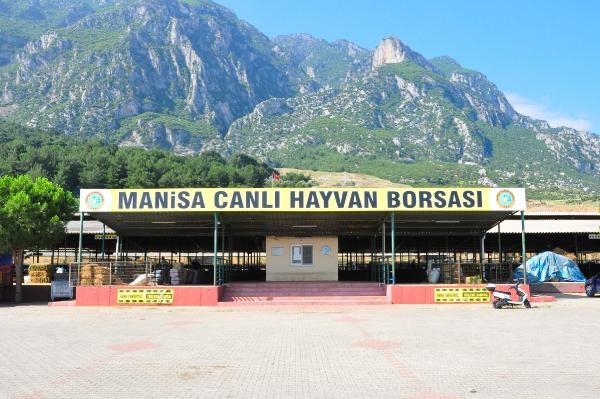 Kurban pazarının en büyüğü 'Irmak', 120 bin liraya alıcısını bekliyor