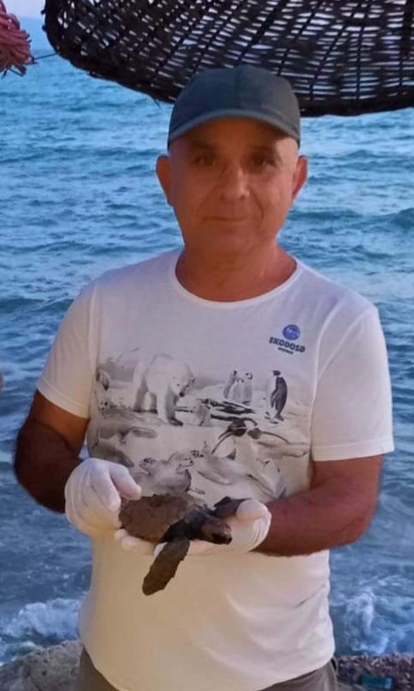 Kuşadası'nda caretta caretta yuvasına çitli koruma