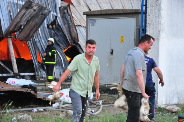 Manisa'da geri dönüşüm tesisi yangını sürüyor