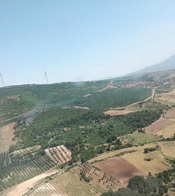 Manisa'da orman yangını