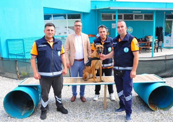 Terk edilen köpek meslek sahibi oldu!
