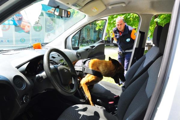 Terk edilen köpek meslek sahibi oldu!