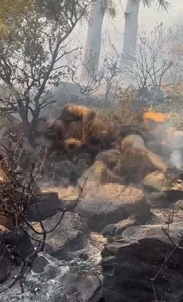 Yanmış cesedi bulunmuştu, son görüntüsü ortaya çıktı