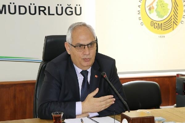 Yıldırımlar 1.5 ayda 28 orman yangını çıkardı