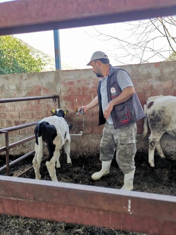 Aydın'da 21 köy karantinaya alındı